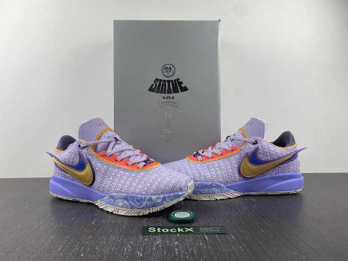 nike lebron 20 ep violet forst dj5422-500