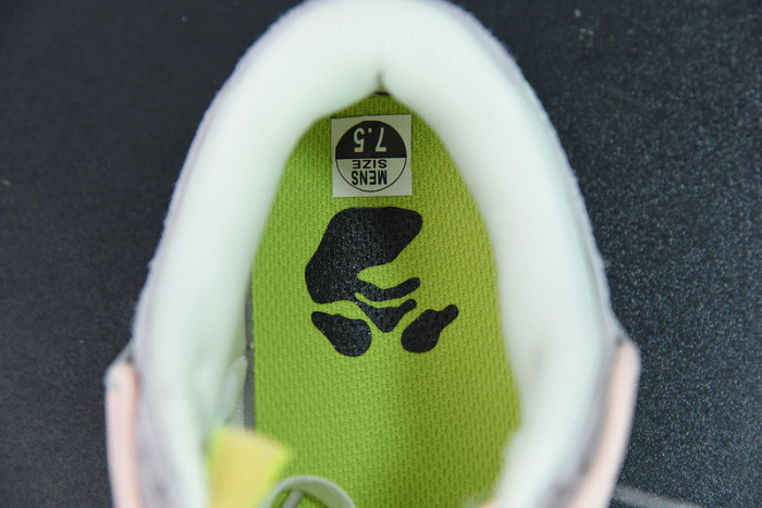 ofw x dunk low 